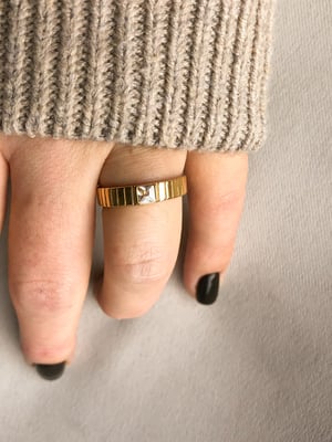 R4 Sygnet Cyrkonia KAJO_2023-07