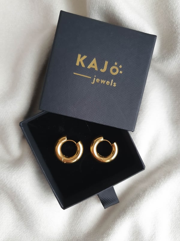 Kolczyki koła Bold Hoop